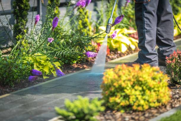 Trusted Lakesite, TN Pressure Washing Experts