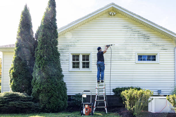 Best Roof Washing  in Lakesite, TN